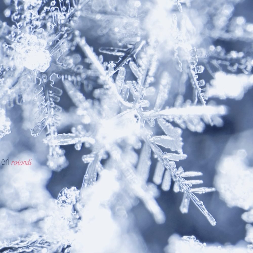 Quello che tutti cercano